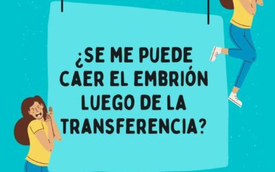 Después de la transferencia embrionaria ¿se me puede caer el embrión?
La respue…