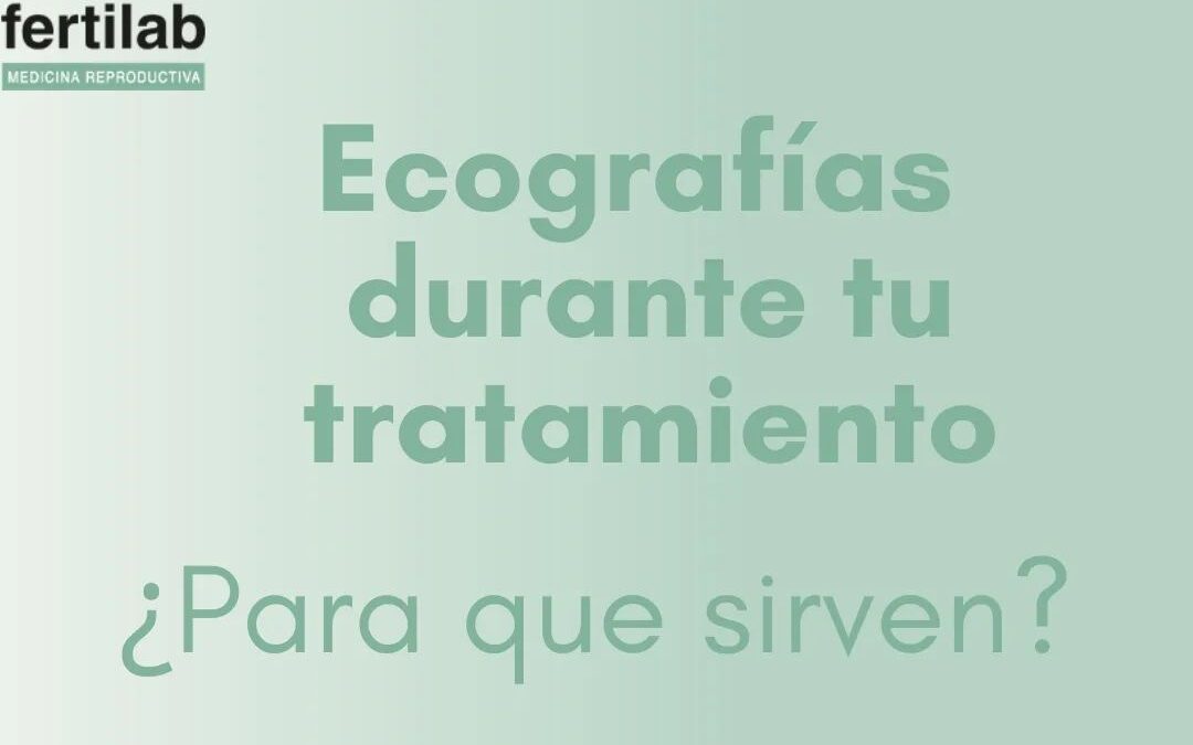 Las ecografías transvaginales son una herramienta que se utilizan durante los tr…